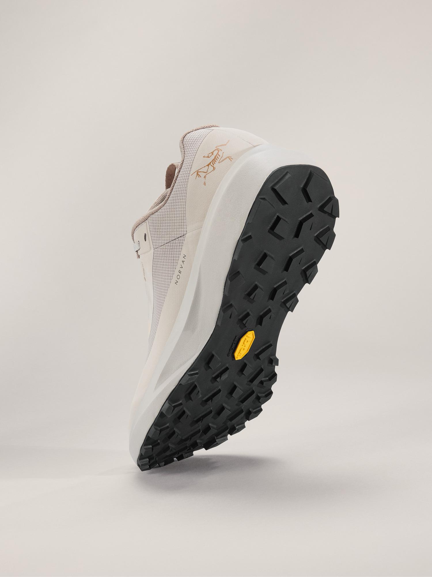 Norvan LD 4 GTX Shoe Men's Product Image