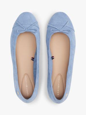Suede Ballet Flat Product Image
