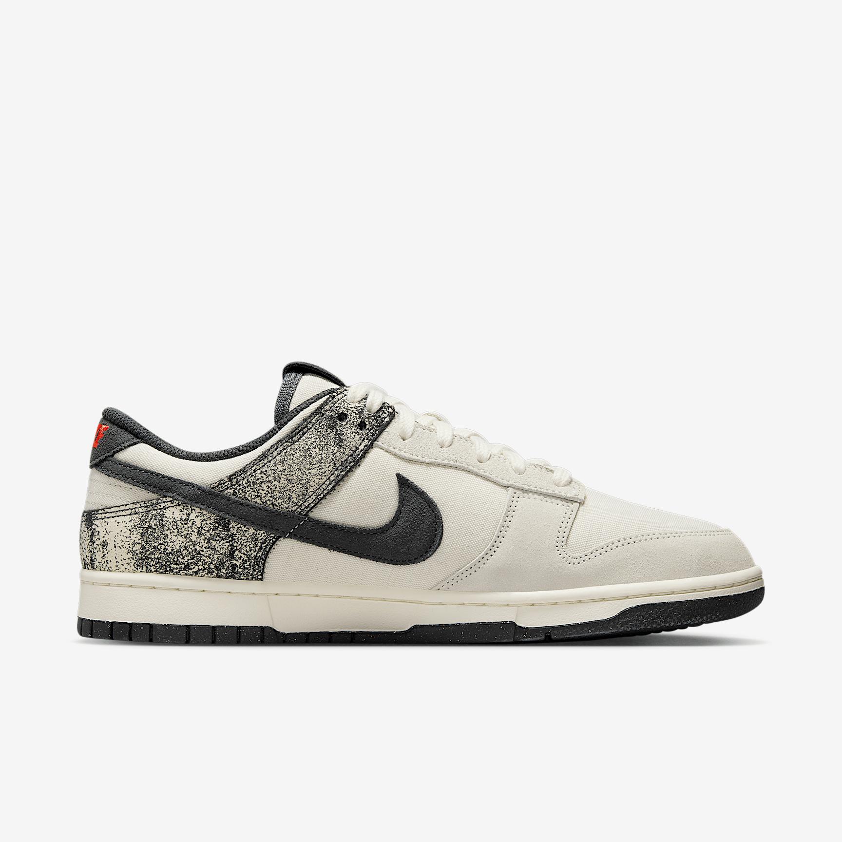 Nike Mens Dunk Low Retro SE Shoes | IB6399-002 Product Image