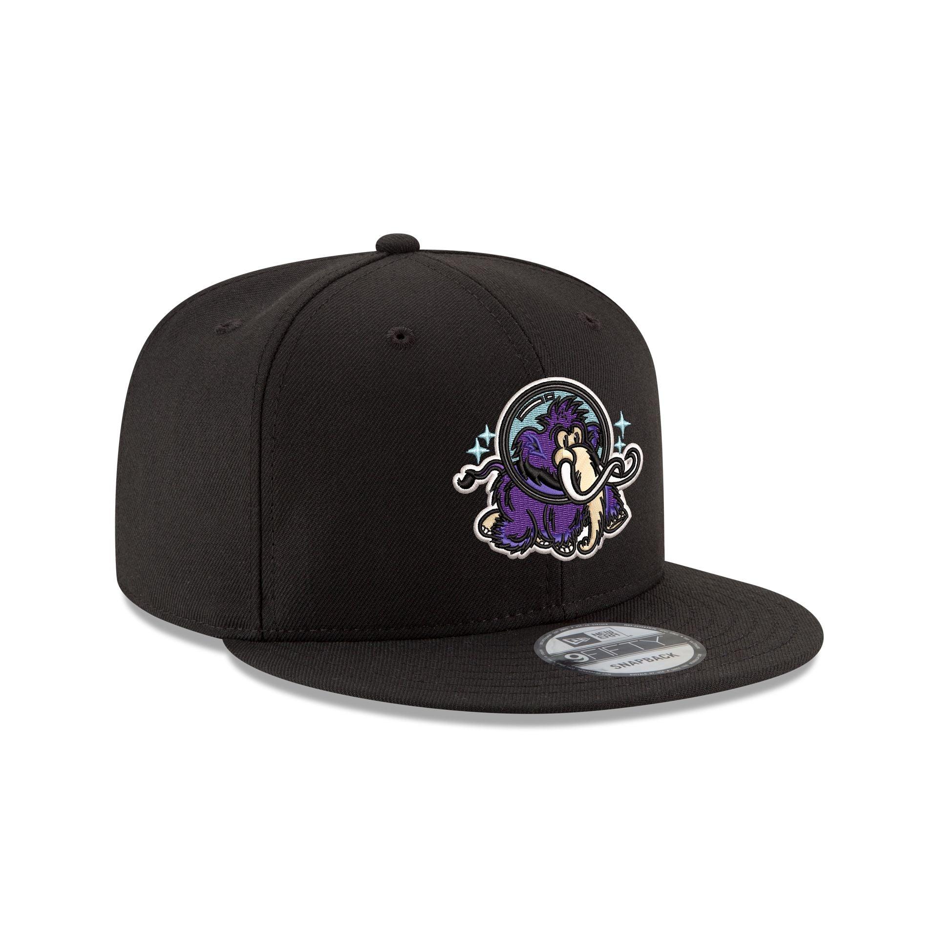 Erie Moon Mammoths 9FIFTY Snapback Hat Male Product Image