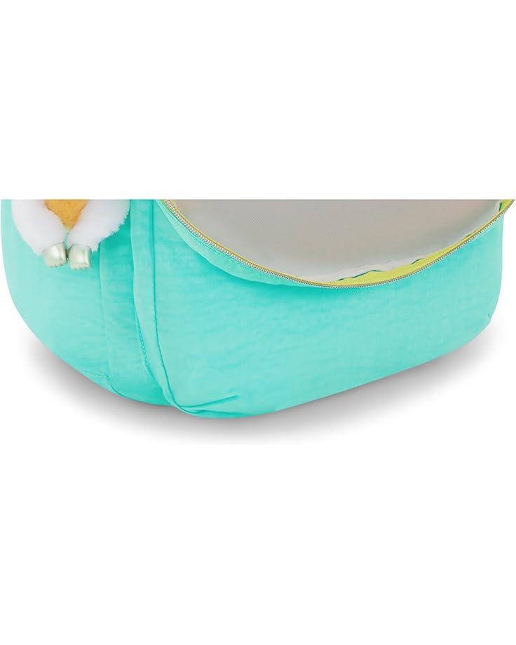 Backpack Product Image