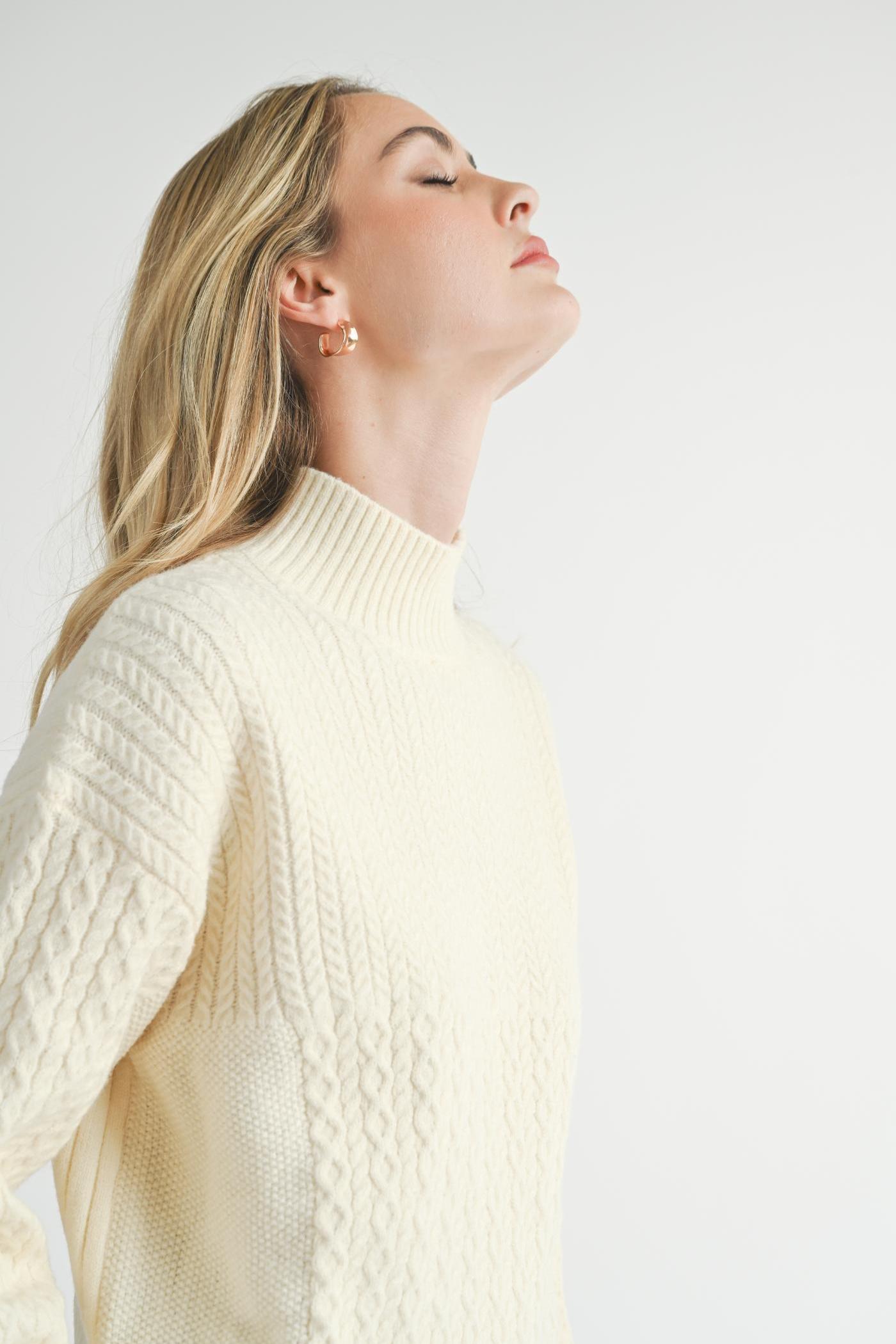 Liss Turtle Neck Sweater Product Image