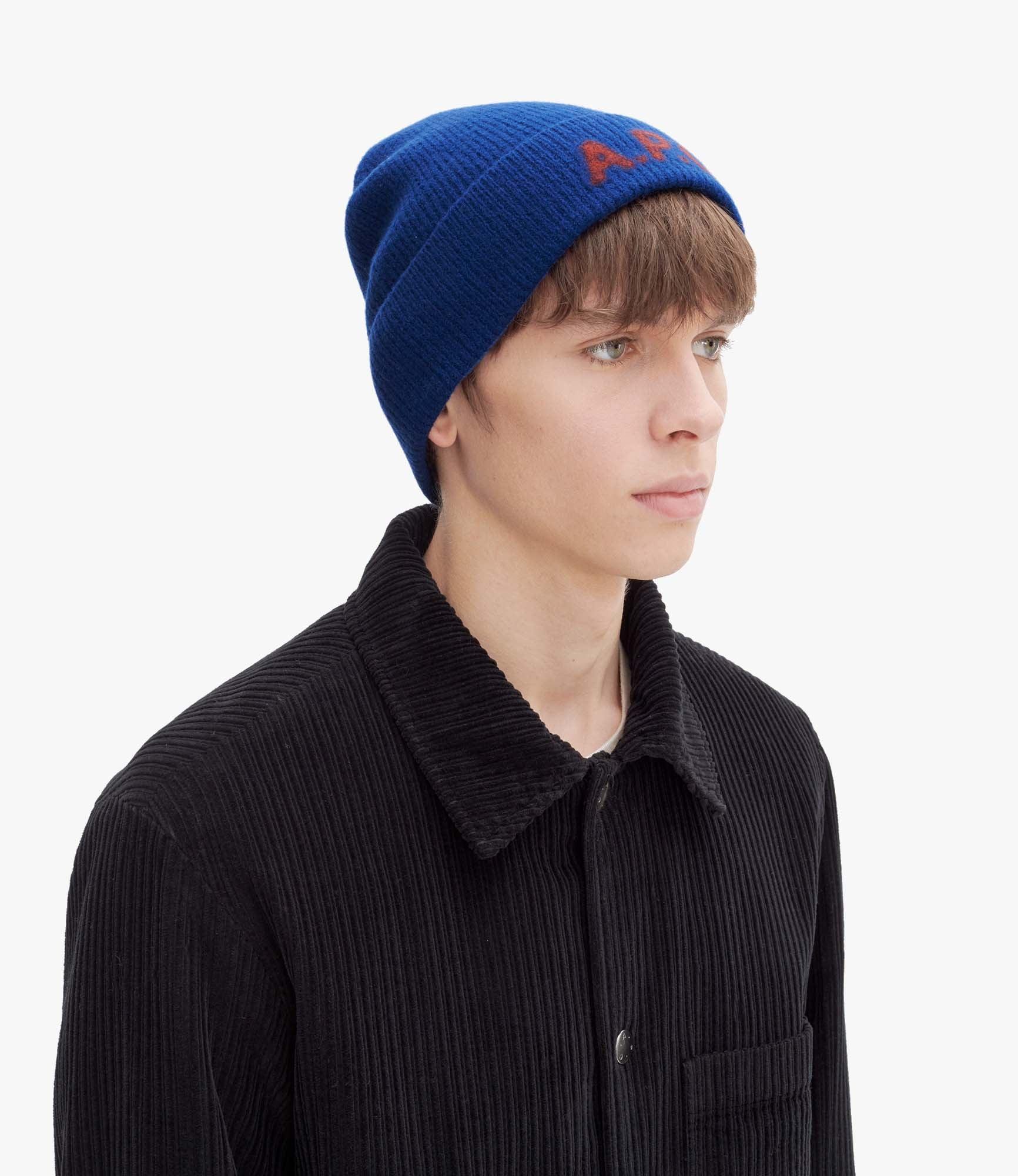 Harry beanie Male Product Image
