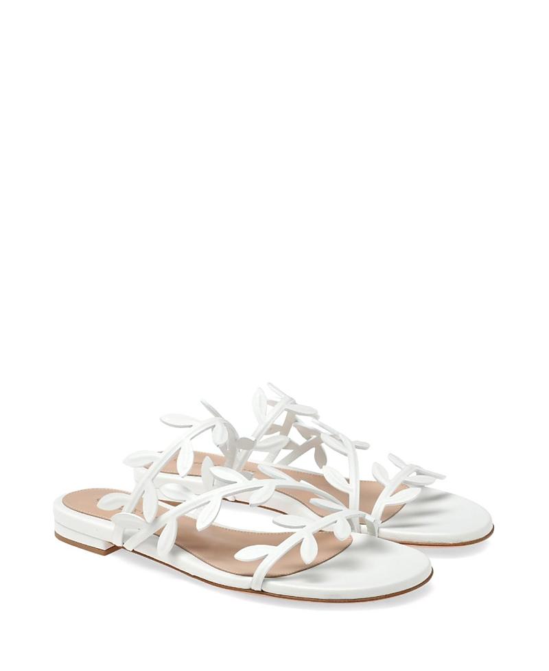 Gianvito Rossi Womens Flavia 05 Flats Product Image