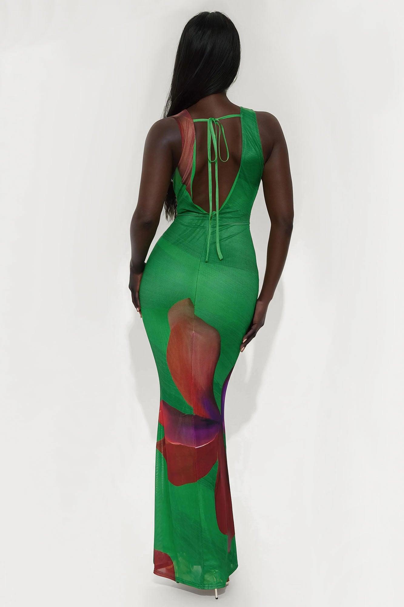 Claudia Backless Mesh Maxi Dress - Green/combo Product Image