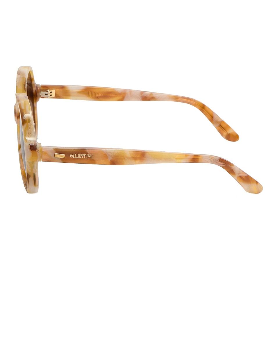 VLS 177 Sunglasses Product Image