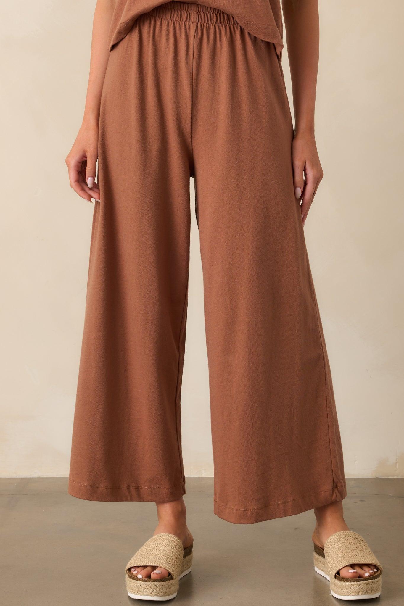 Z Supply Brown Cotton Scout Jersey Pants Product Image