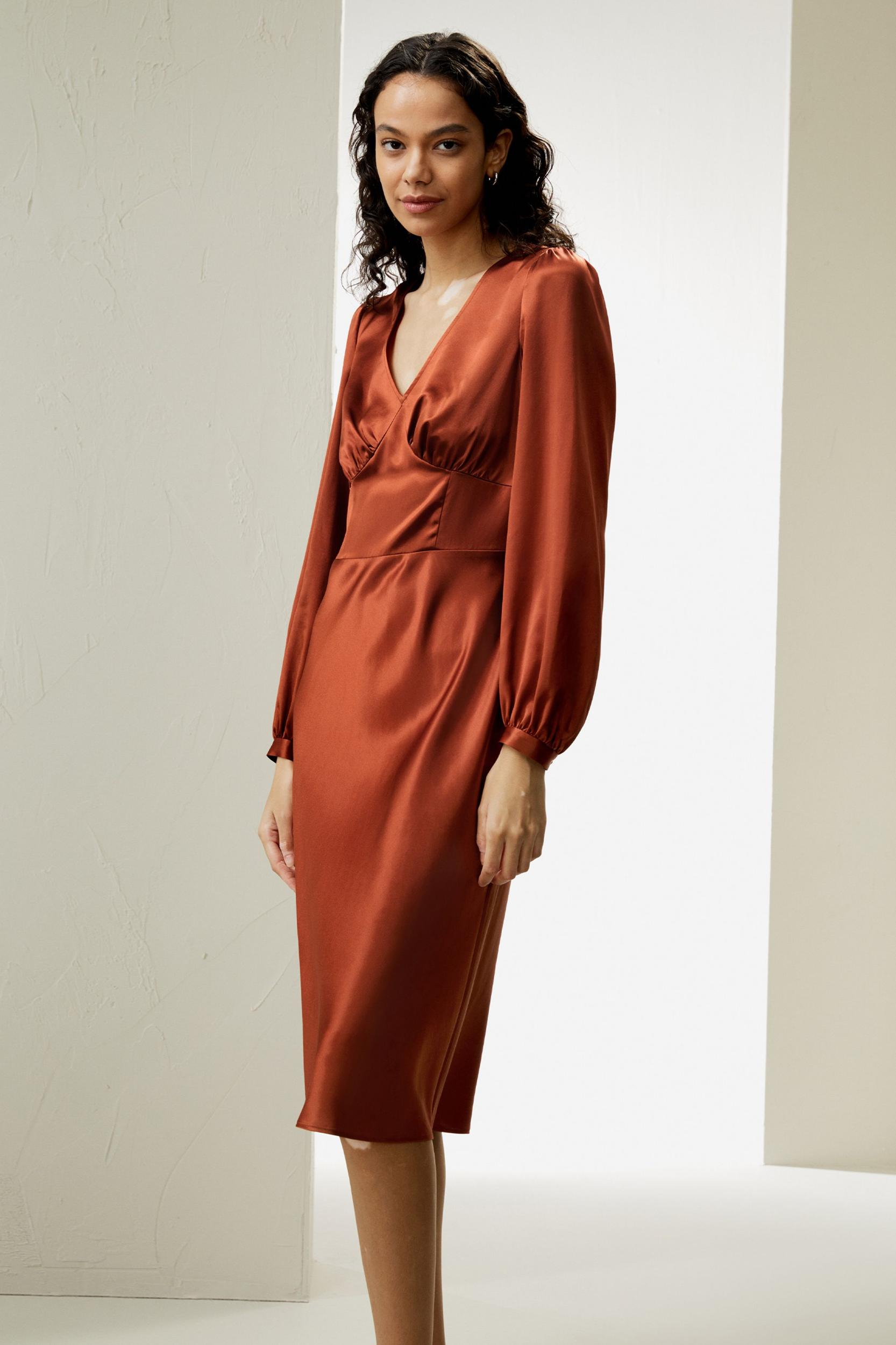 LILYSILK Long Sleeve Dress Silk for Women Red Clay Natural Silk Versatile Pleated Cups Dress 2 Product Image