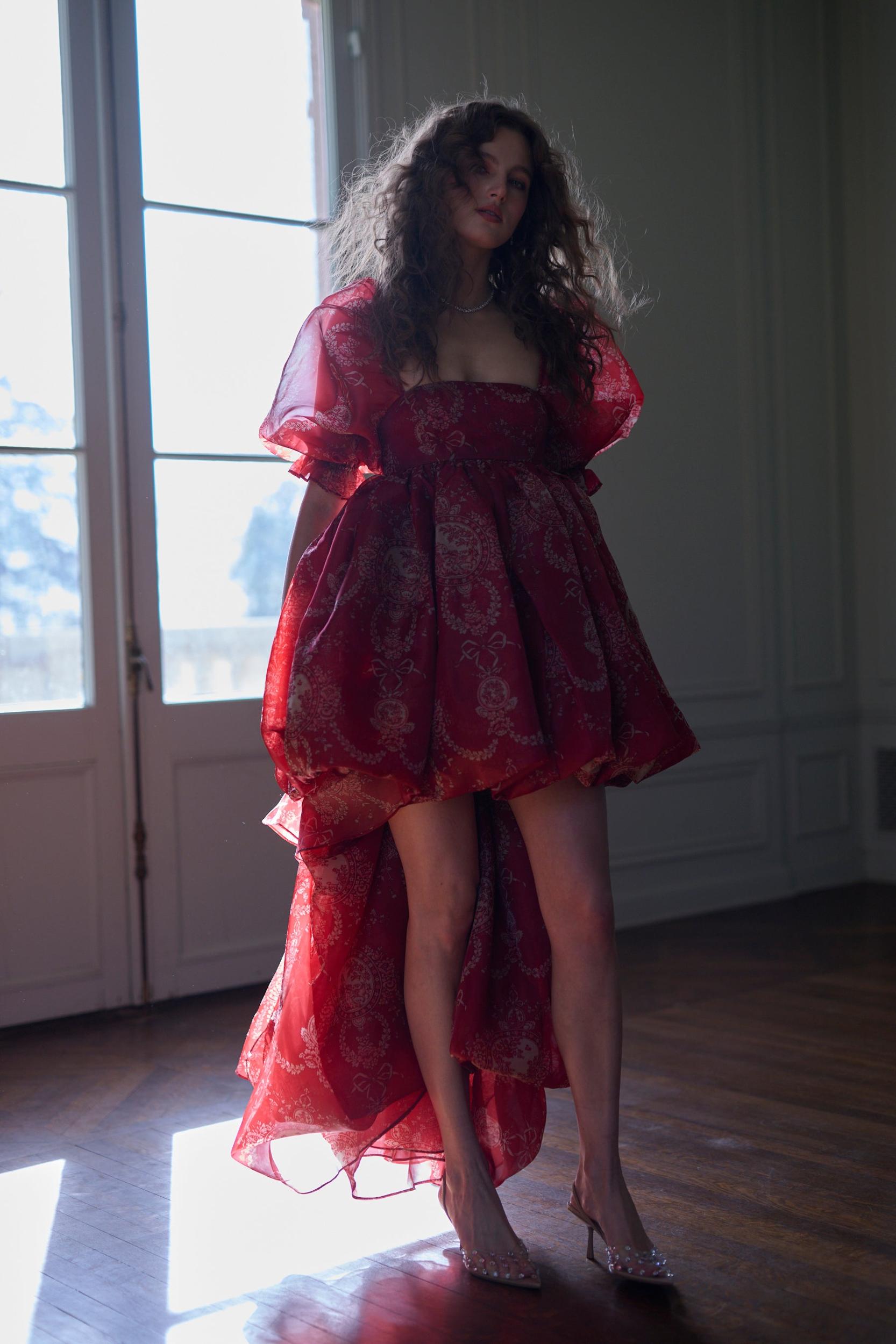 The Ornament Fairytale Gown Product Image