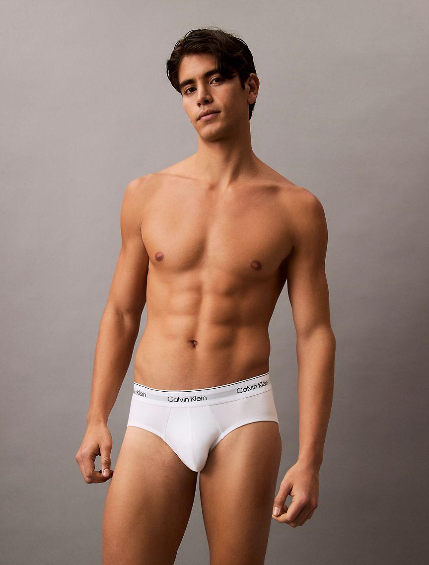 Icon Cotton Stretch 5-Pack Hip Brief Product Image