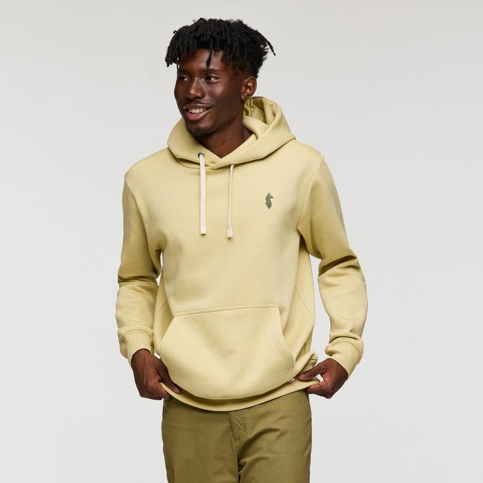 Up and Up Pullover Hoodie - Men's Product Image