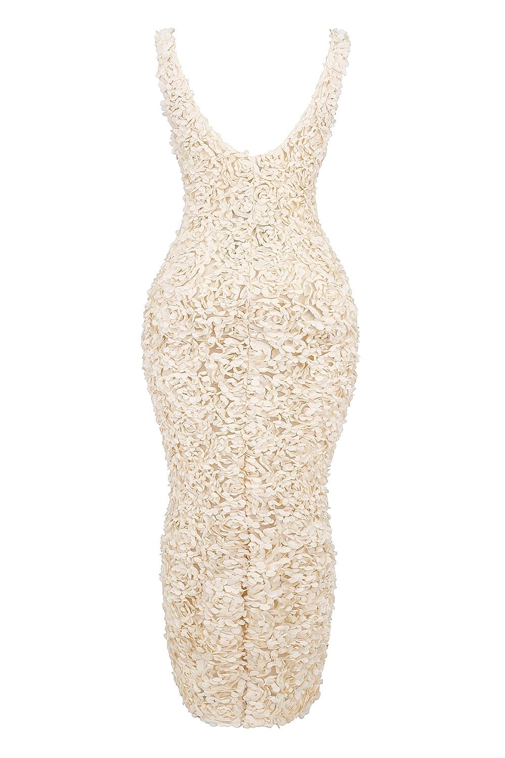 Carena  creme plunge floral appliqué maxi dress Product Image