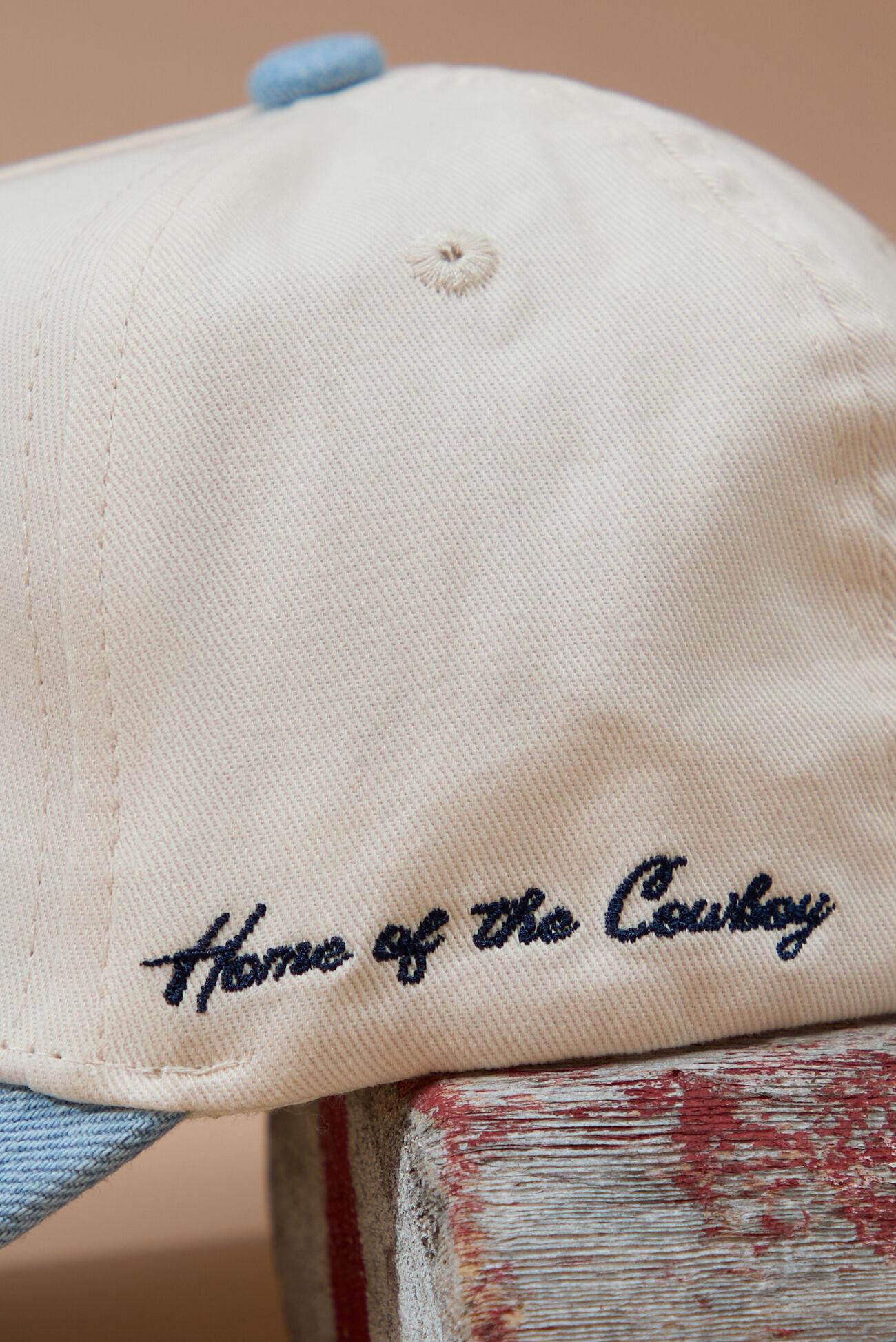 Denim USA Trucker Hat Product Image