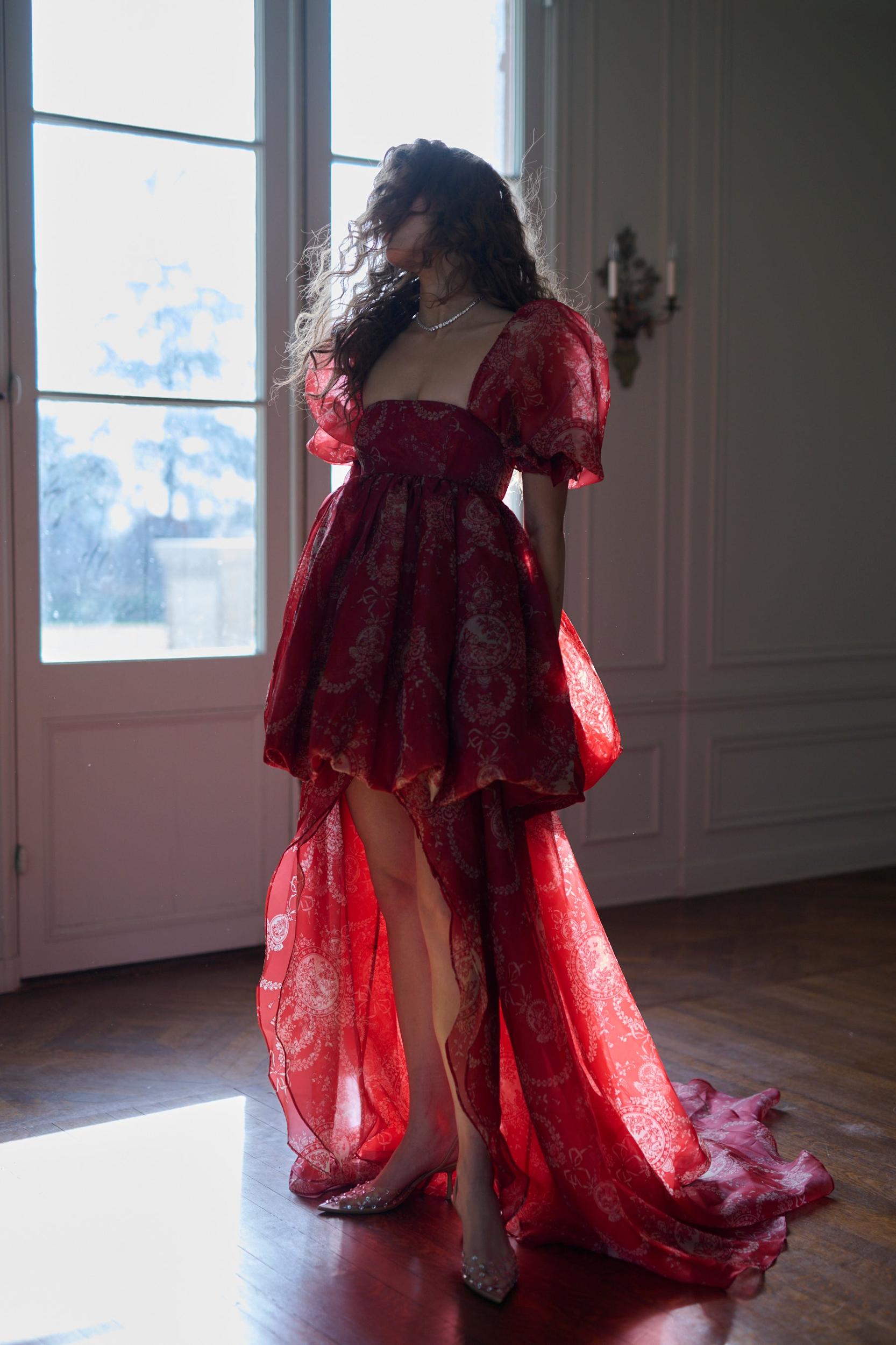 The Ornament Fairytale Gown Product Image