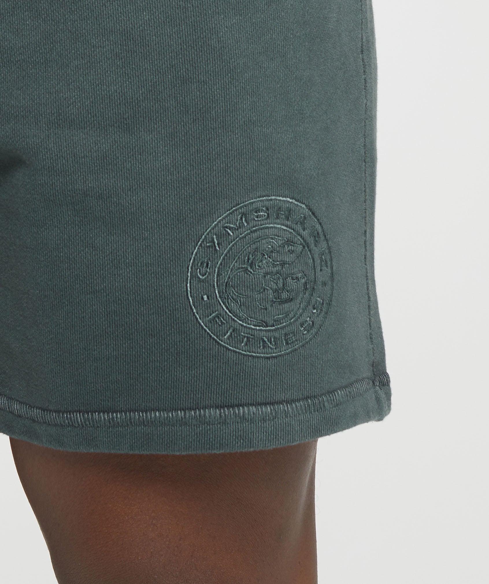 Premium Legacy Shorts Product Image