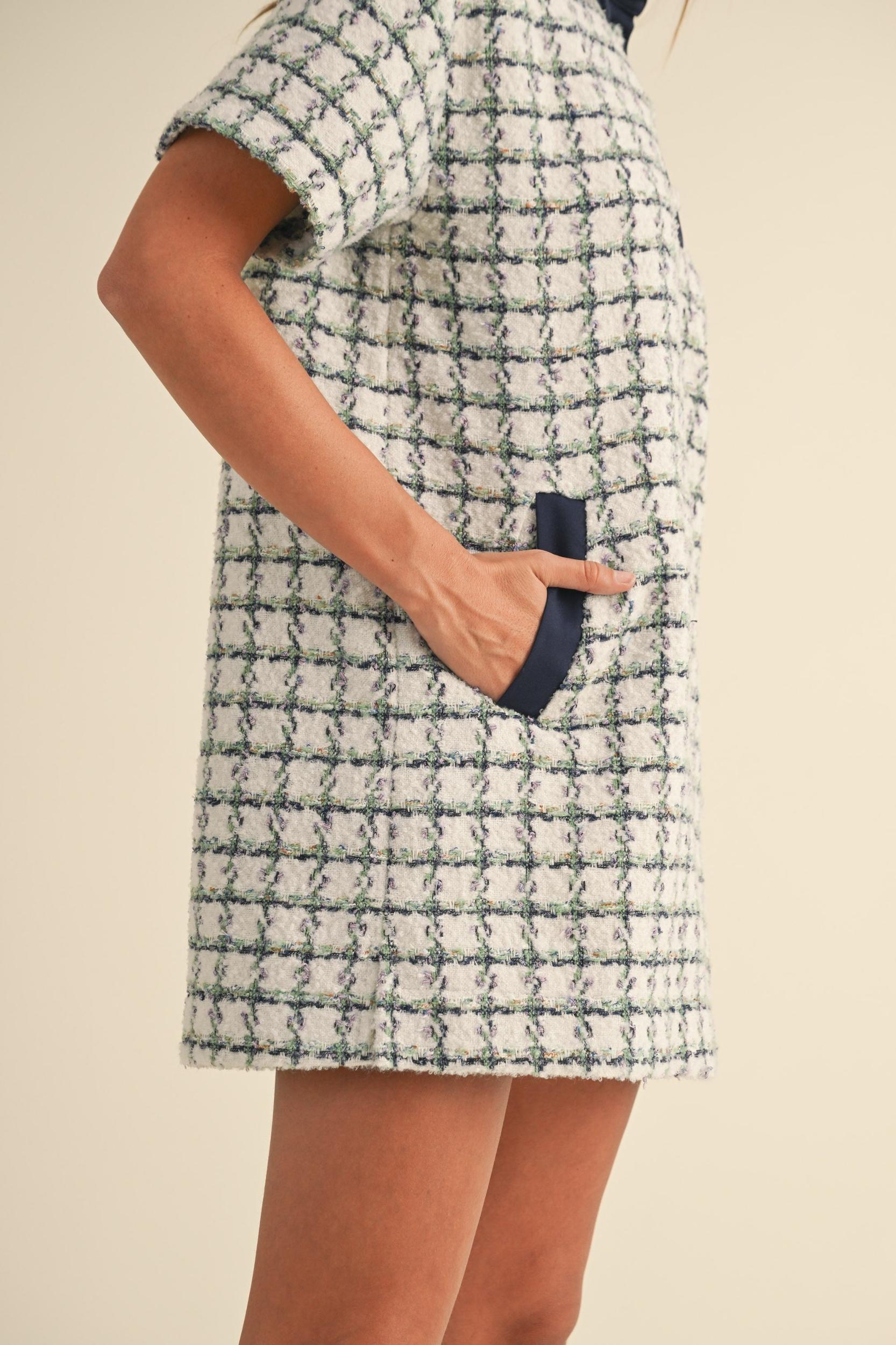 Collared Plaid Tweed Mini Dress Product Image