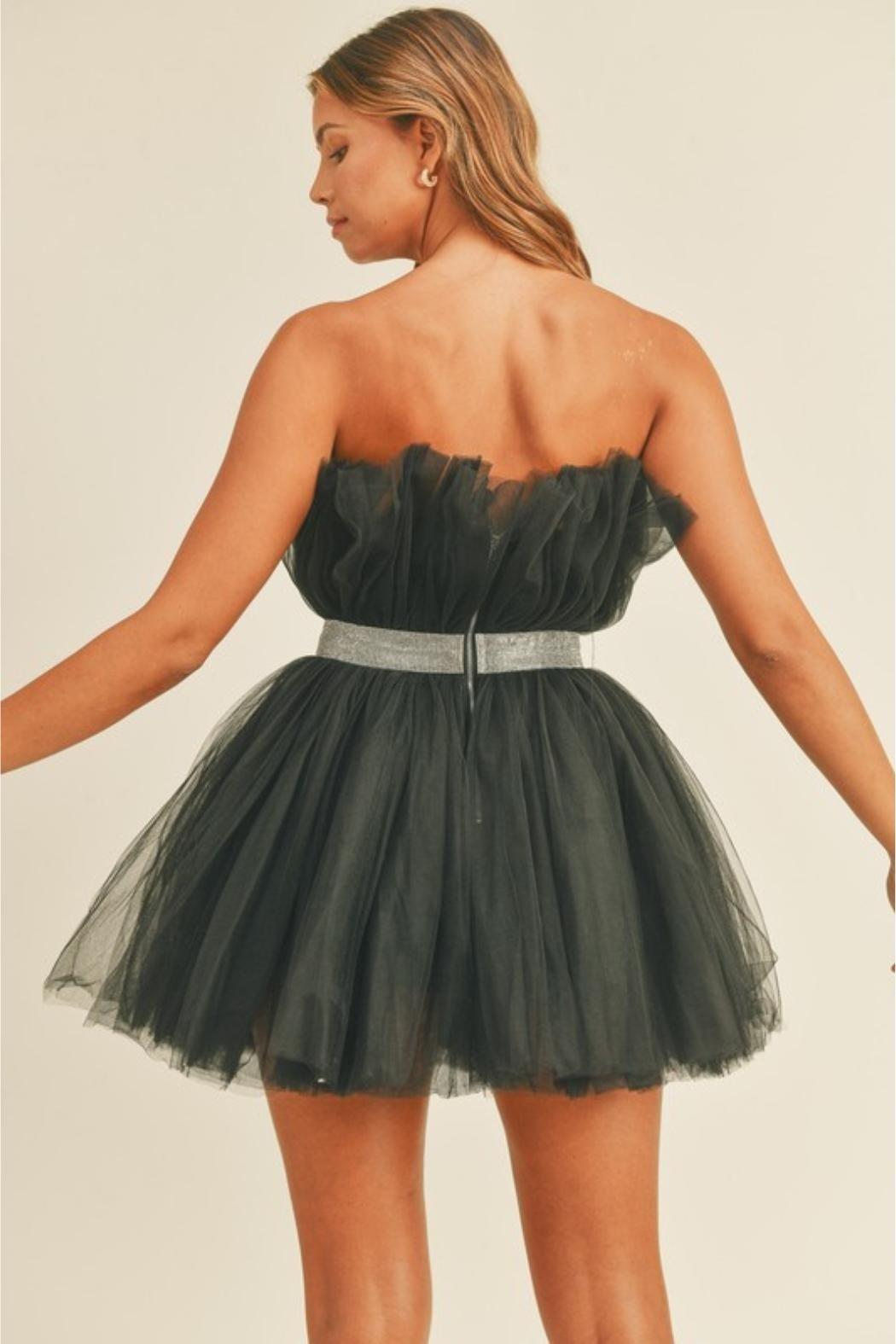 Belted Tulle Dress Product Image
