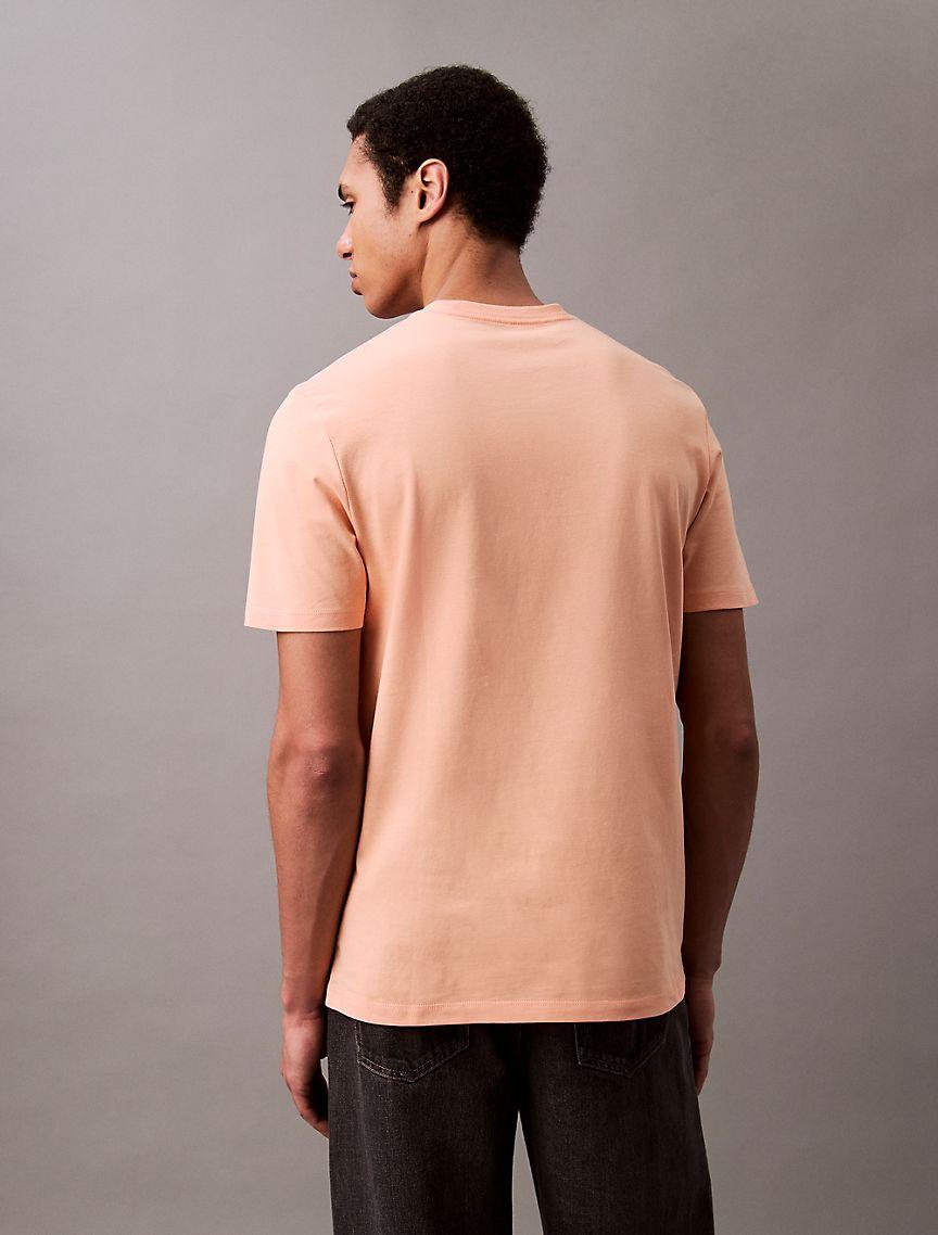 Box Logo Graphic Classic T-Shirt  Product Image