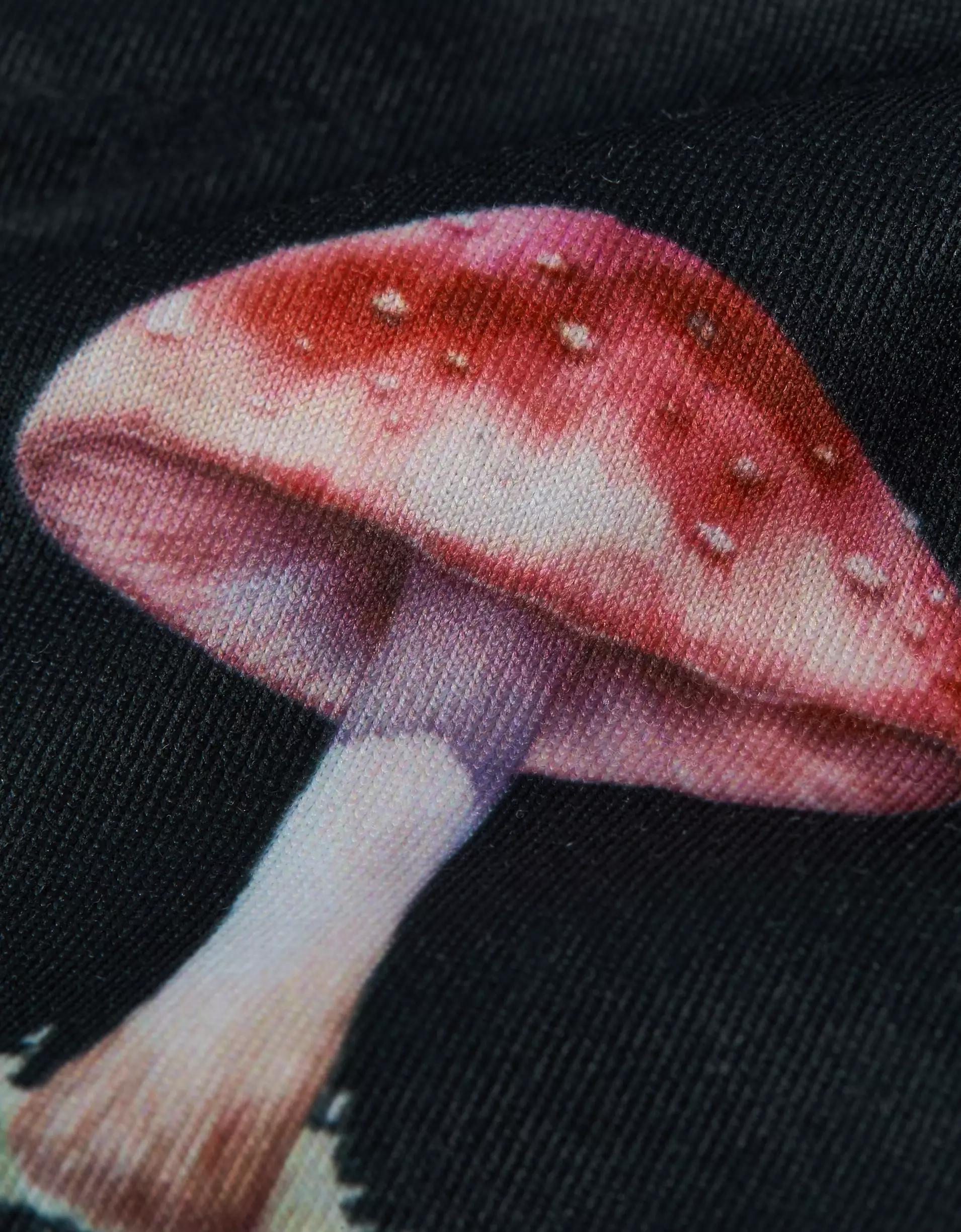 AEO Men's Mushroom 6" Flex Boxer Brief Product Image