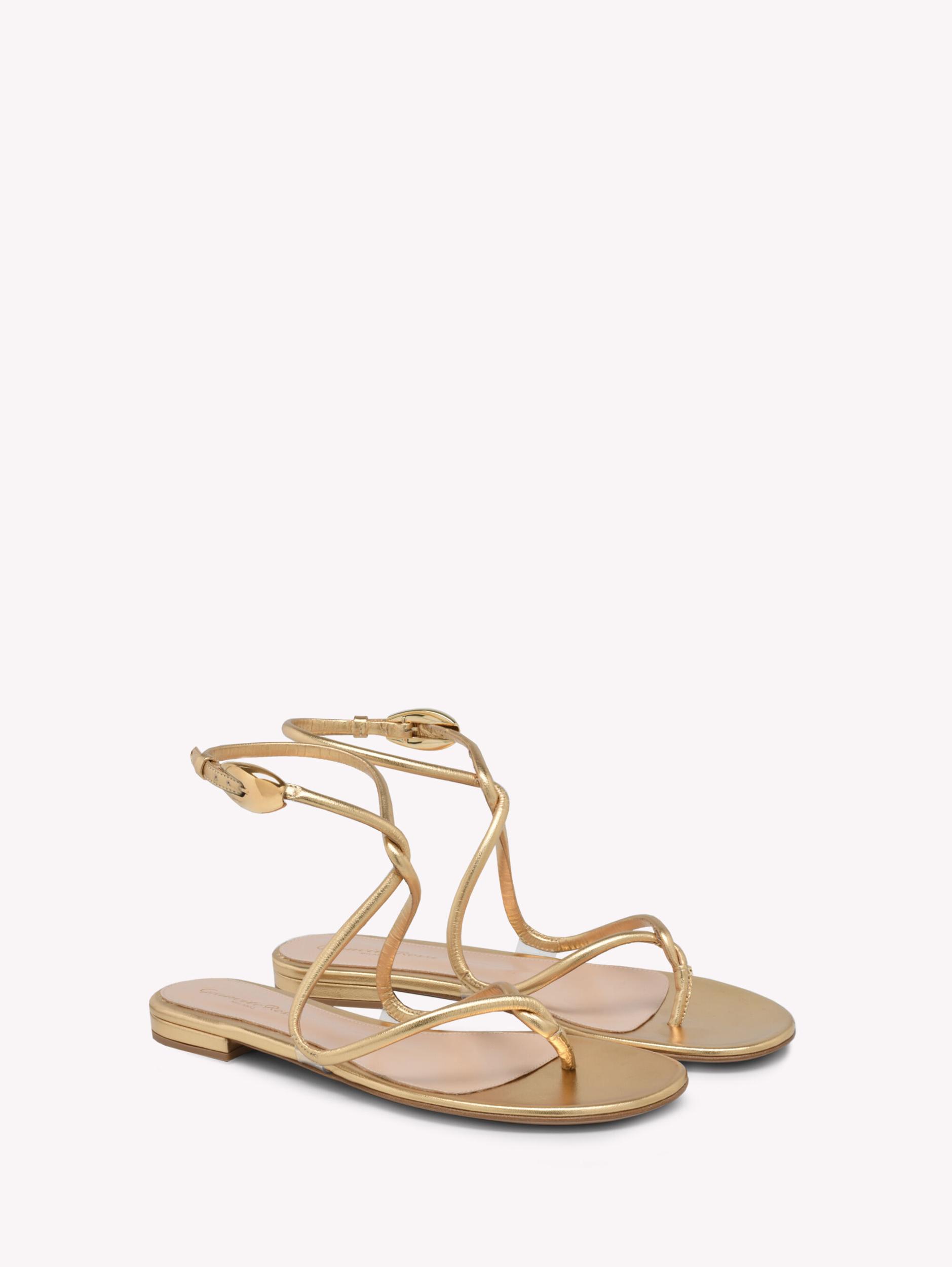 BLACK MAMBA FLAT Gianvito Rossi Product Image