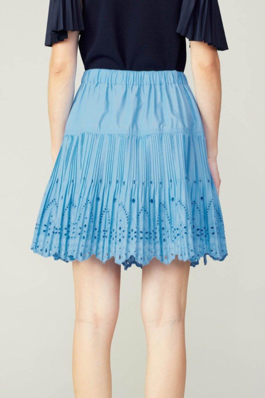 Pleated Embroidery Detailed Mini Skirt Product Image
