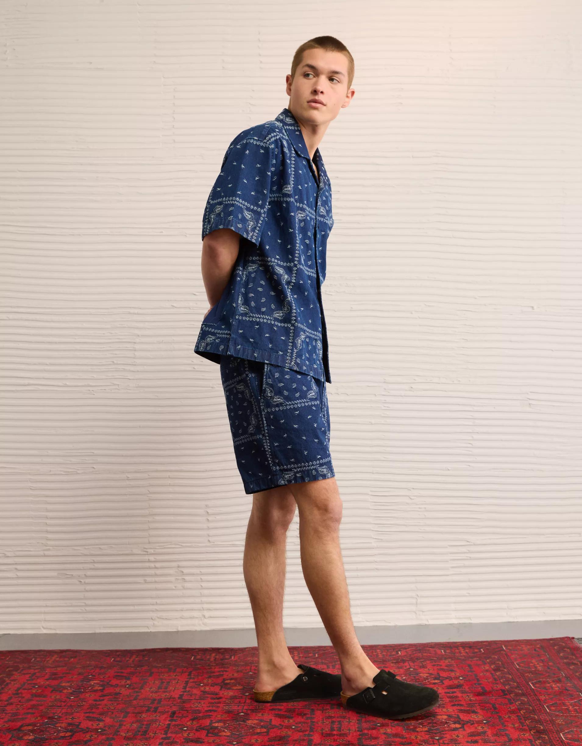 AE Poolside Printed Button-Up Shirt Product Image