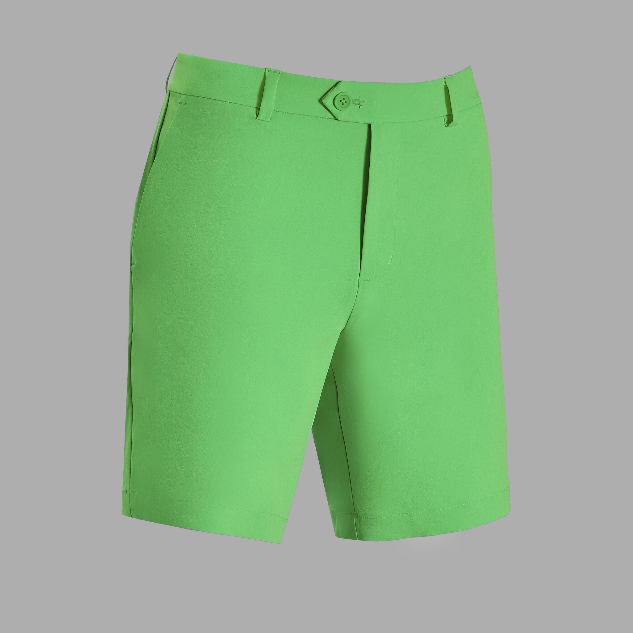 MAVERICK 4-WAY STRETCH LINED SHORT Product Image