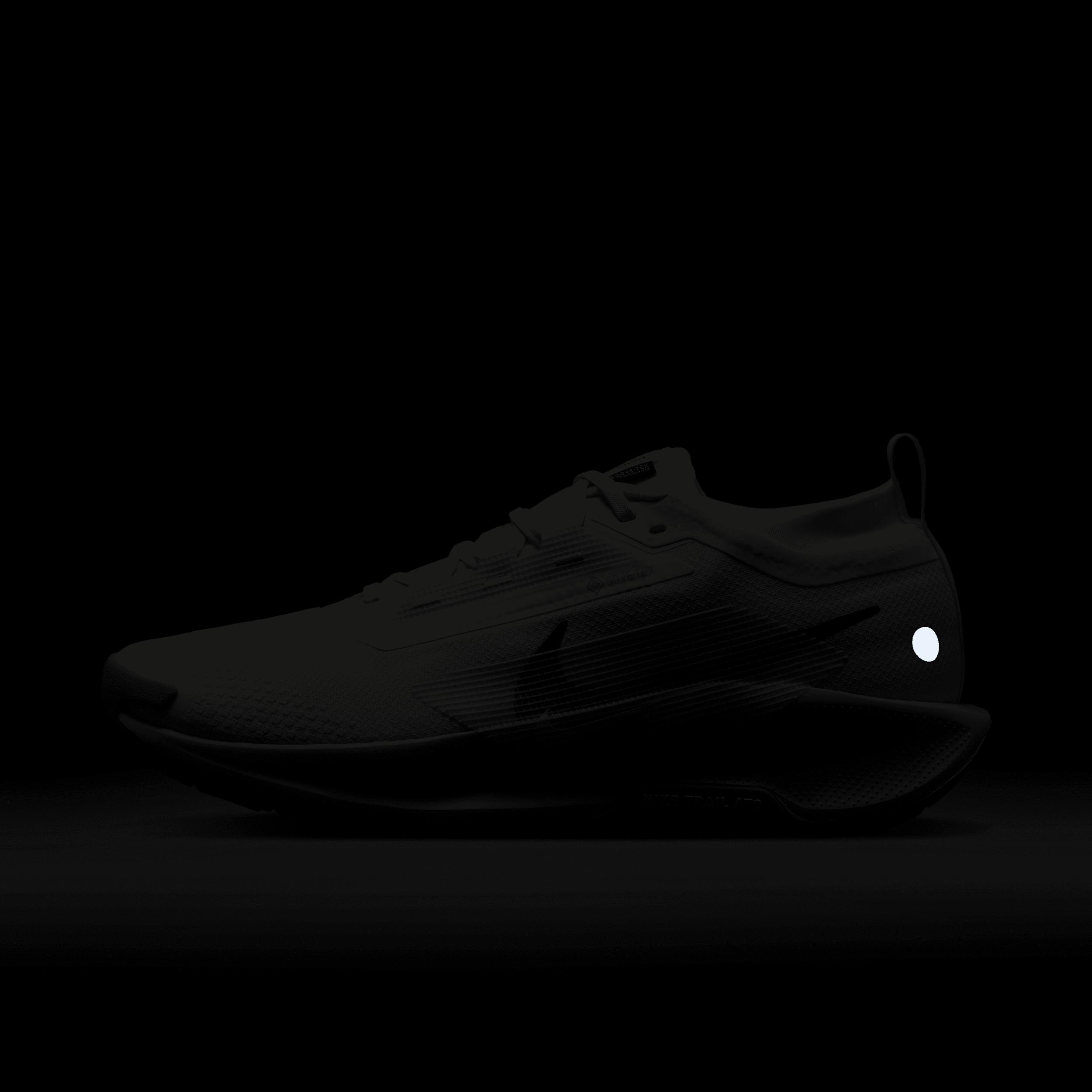 Nike Mens Pegasus Trail 5 GORE-TEX Waterproof Trail Running Shoes | FQ0908-102 Product Image