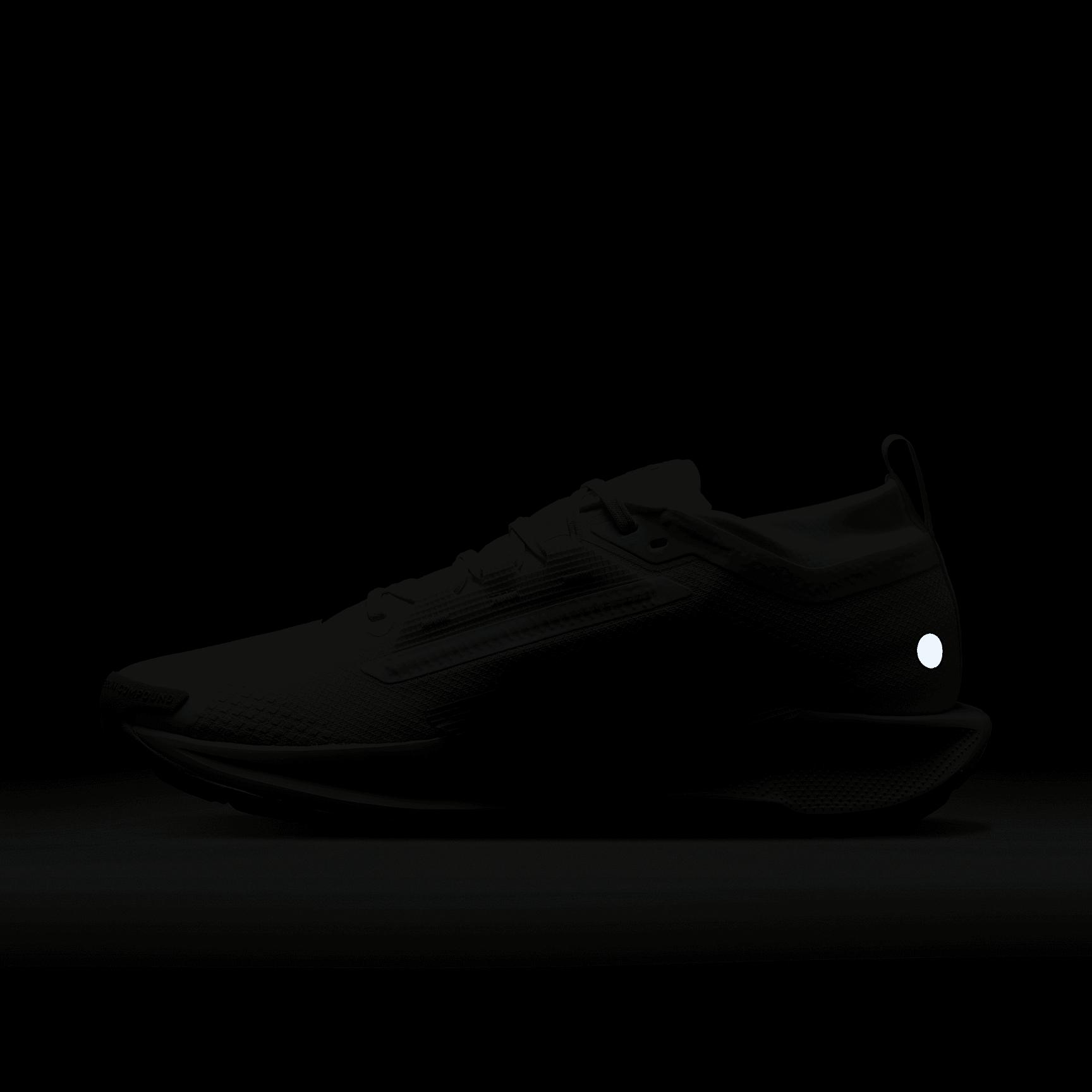 Nike Mens Pegasus Trail 5 GORE-TEX Waterproof Trail Running Shoes | FQ0908-102 Product Image