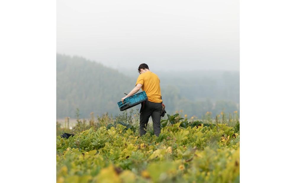 Hemp Blend Out Here T-shirt M Product Image