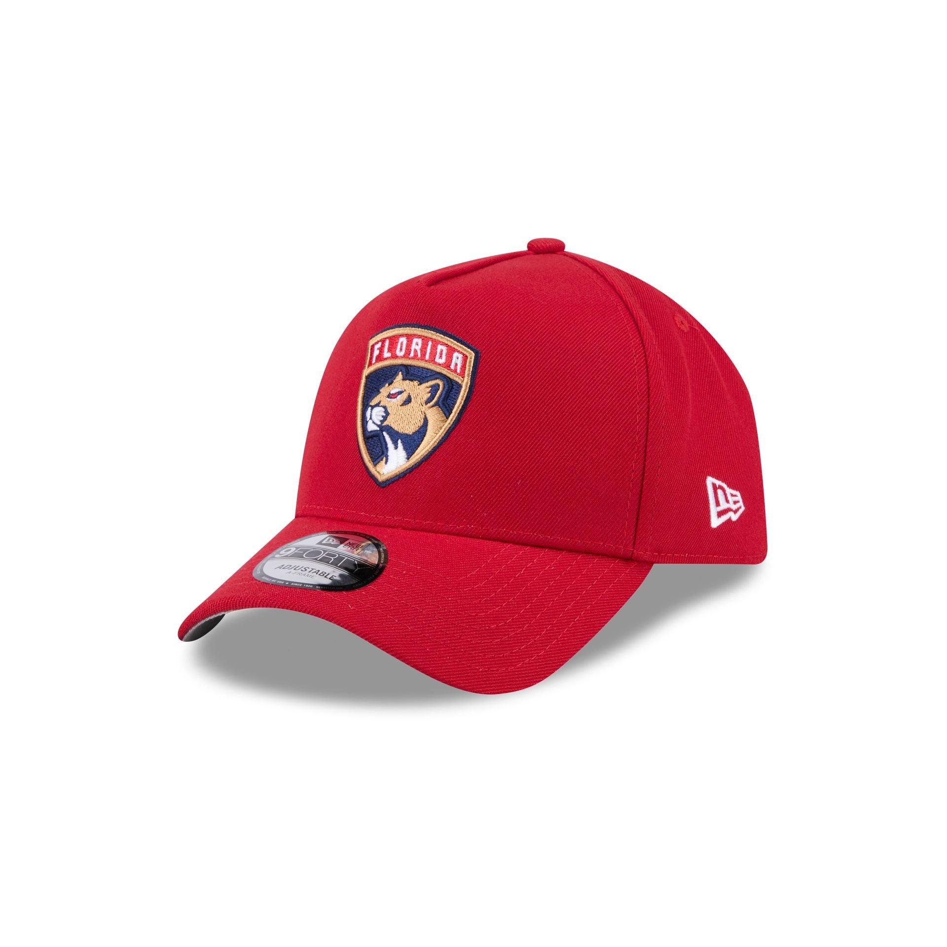 Florida Panthers Team 9FORTY A-Frame Snapback Hat Male Product Image