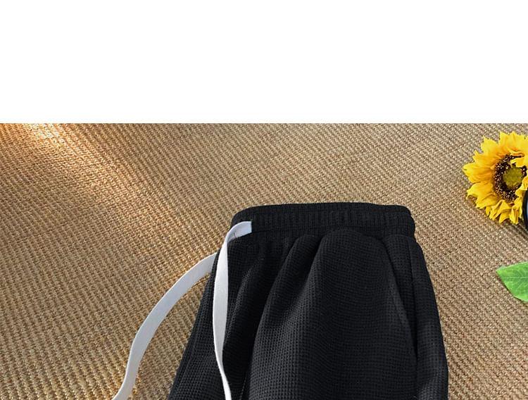 Drawstring Waist Plain Shorts Product Image