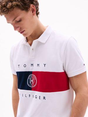 Regular Fit Flag Stripe Polo Product Image