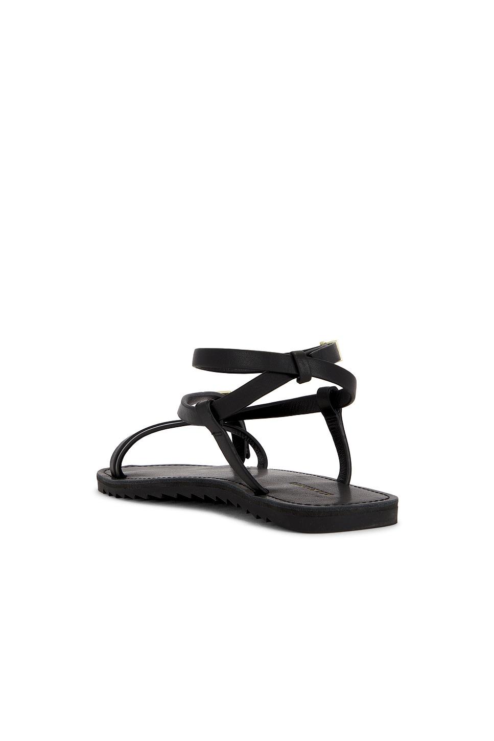 Tyla Sandal ALLSAINTS Product Image