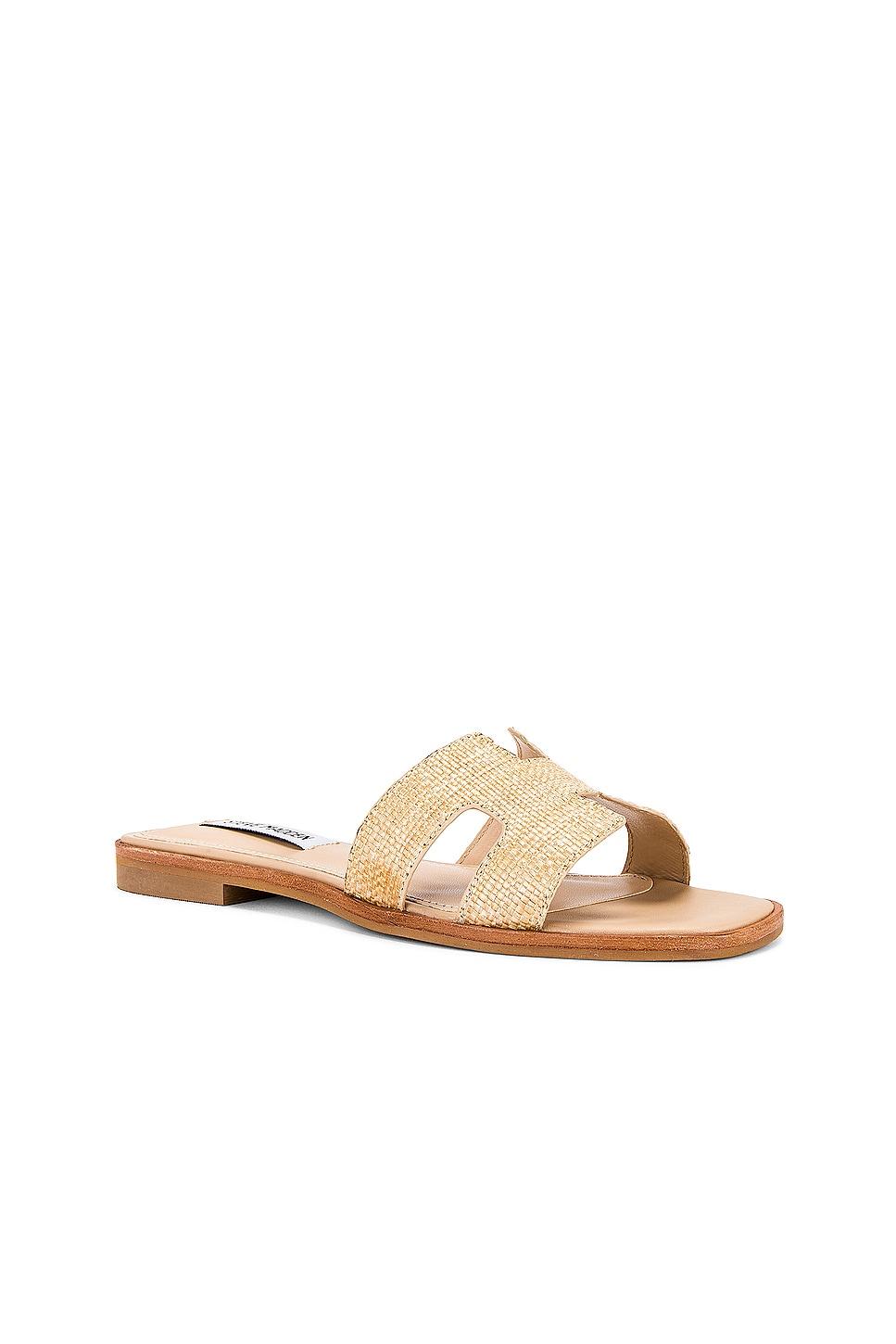 Hadyn Sandal Steve Madden Product Image