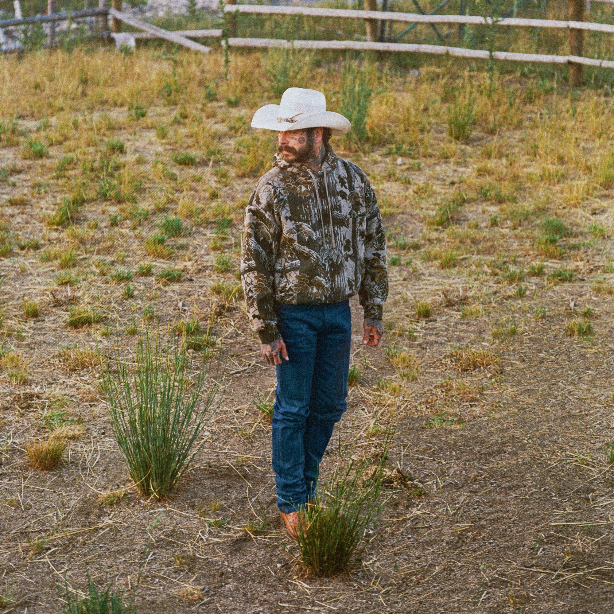 HEAVYWEIGHT FLEECE MENS REALTREE RELAXED HOODIE | REALTREE CAMO PRINT Product Image