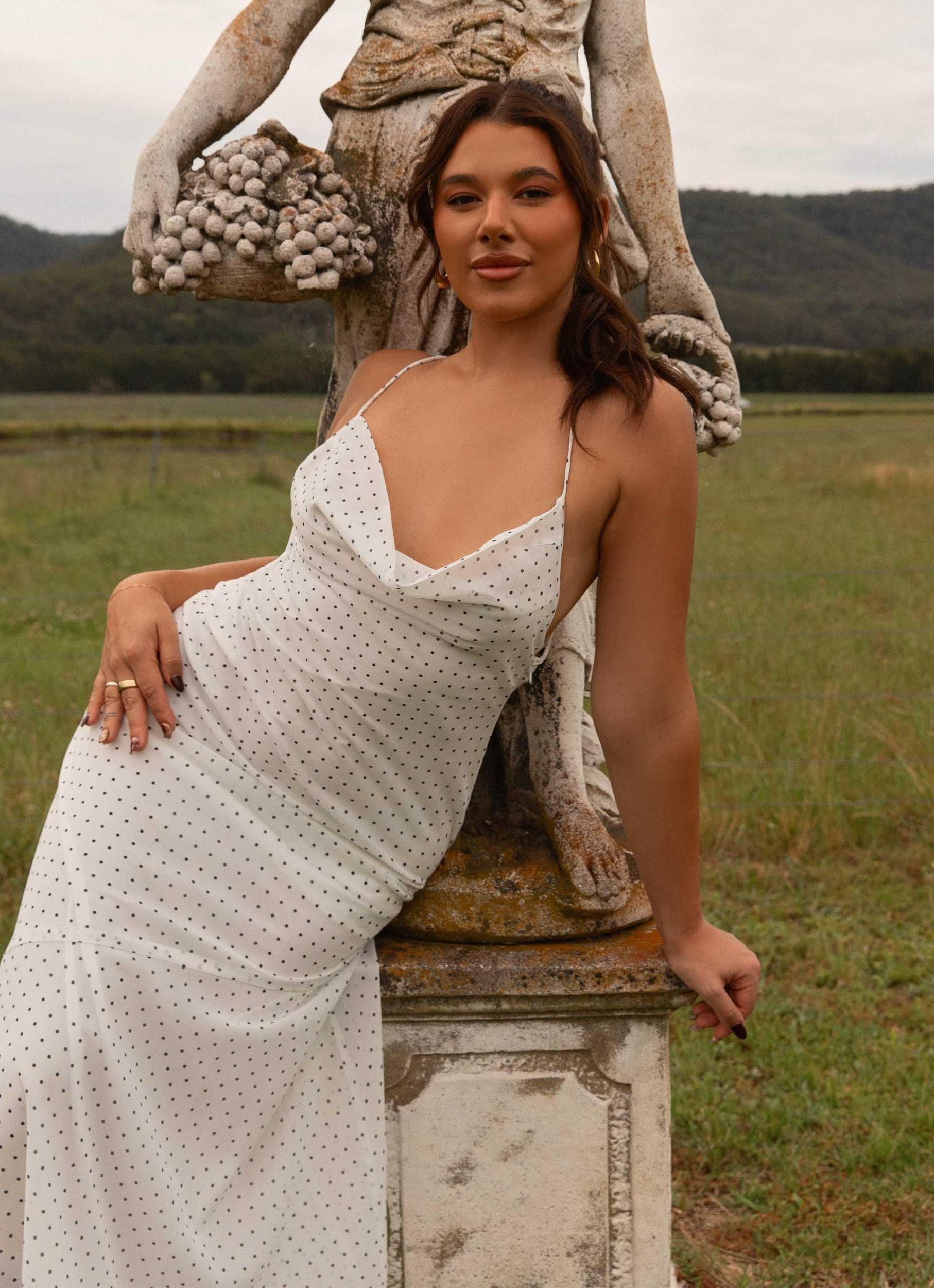 Alianna Cowl Neck Mesh Maxi Dress - White Polka Dot Product Image