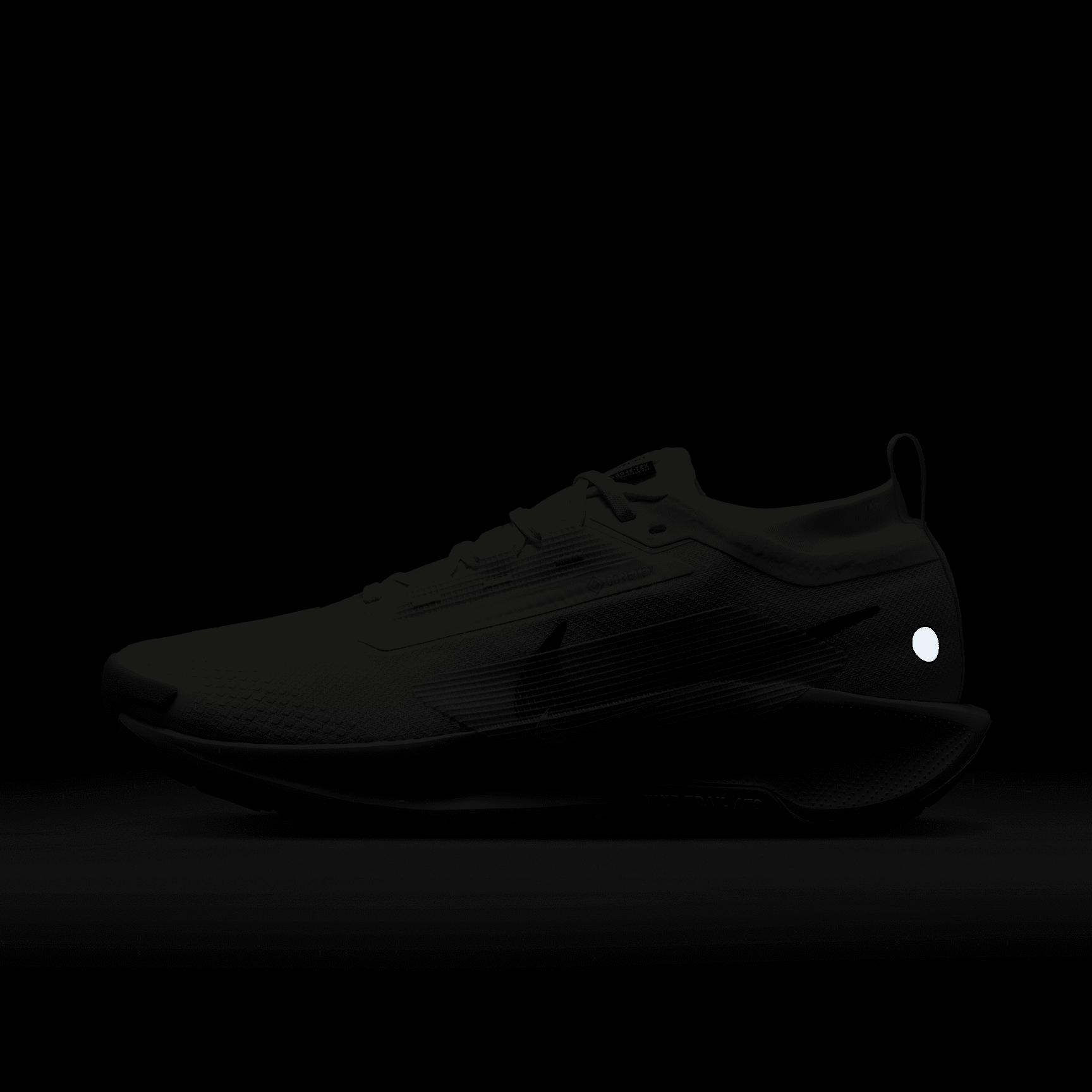 Nike Mens Pegasus Trail 5 GORE-TEX Waterproof Trail Running Shoes | FQ0908-102 Product Image