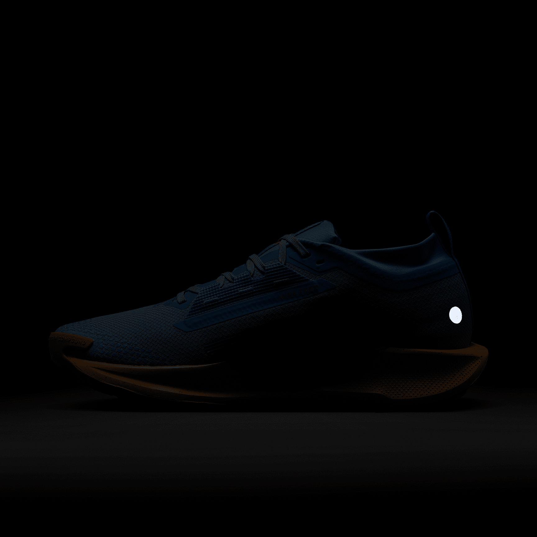 Mens Nike Pegasus Trail 5 GORE-TEX Waterproof Trail Running Shoes Product Image