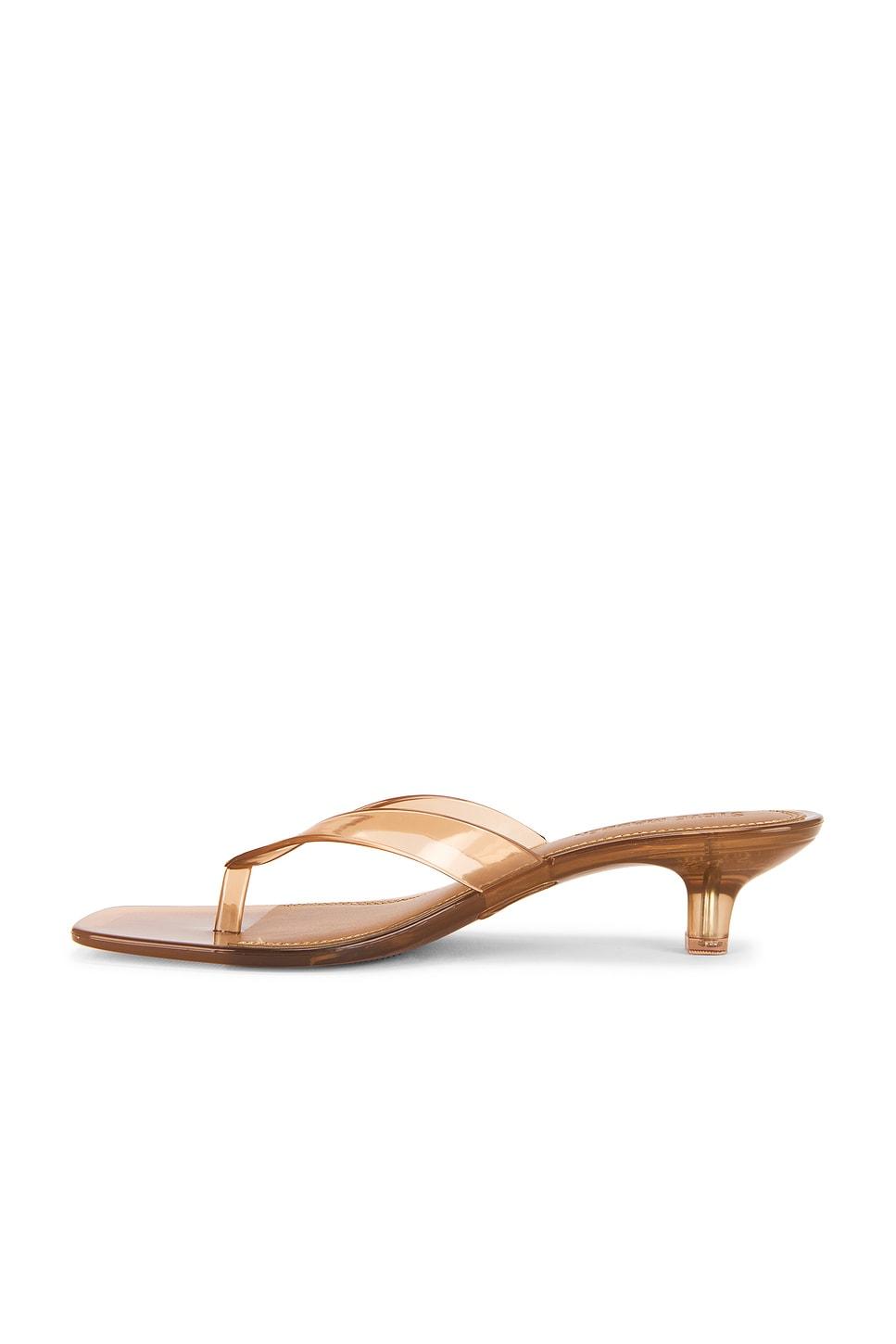 Tracie-j Sandal Steve Madden Product Image