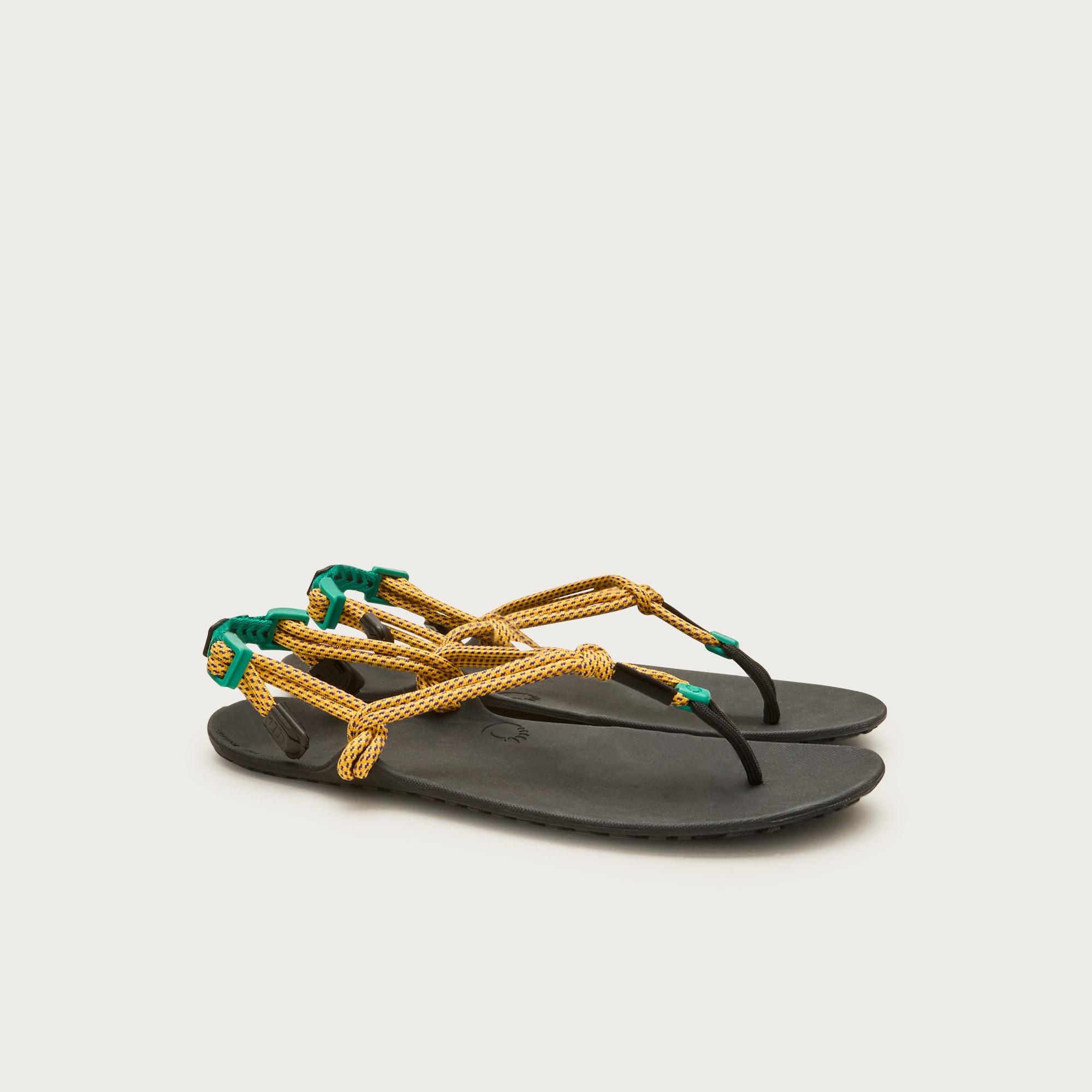 Xero Shoes® X J.Crew Genesis sandals Product Image
