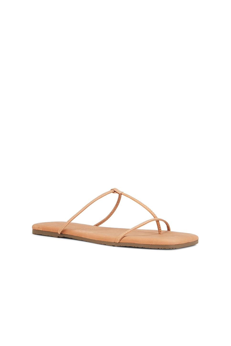 Chloe Sandal TKEES Product Image