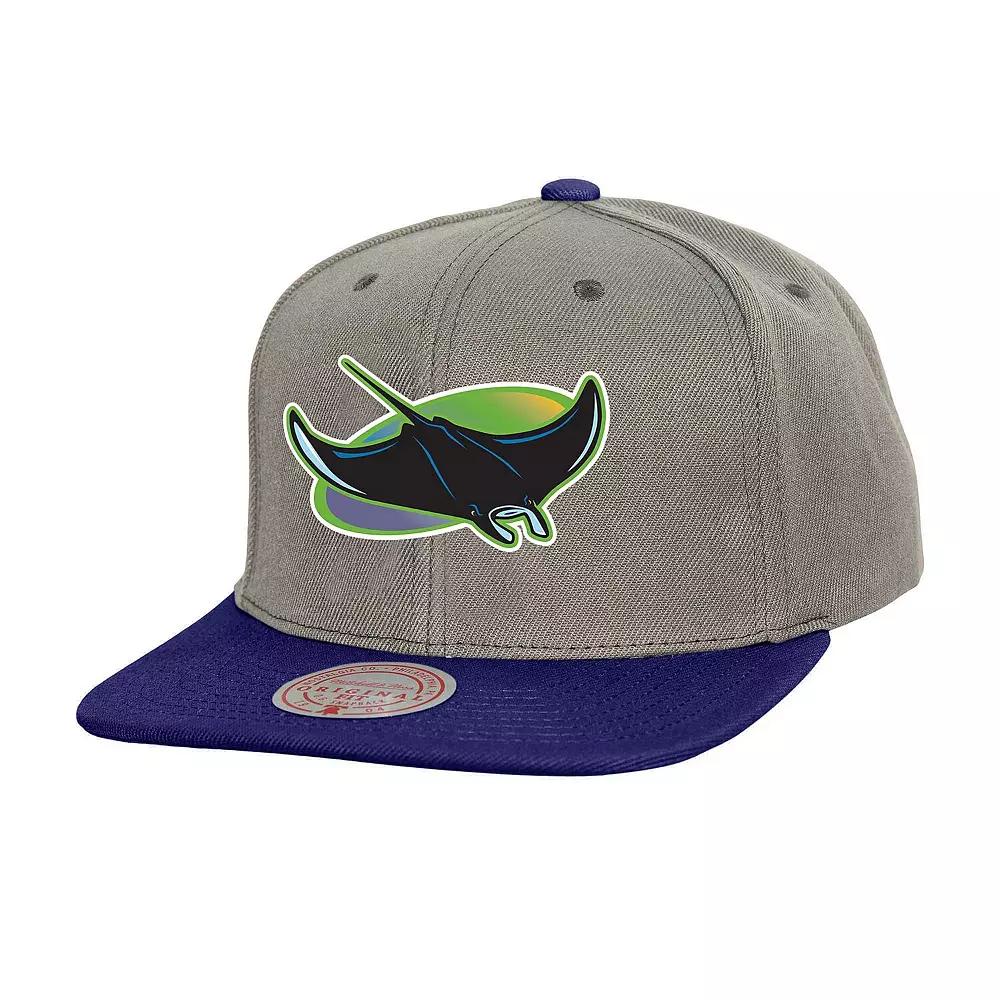 Men's Mitchell & Ness Gray Tampa Bay Rays Cooperstown Collection Basic Flip Snapback Hat, Grey Product Image