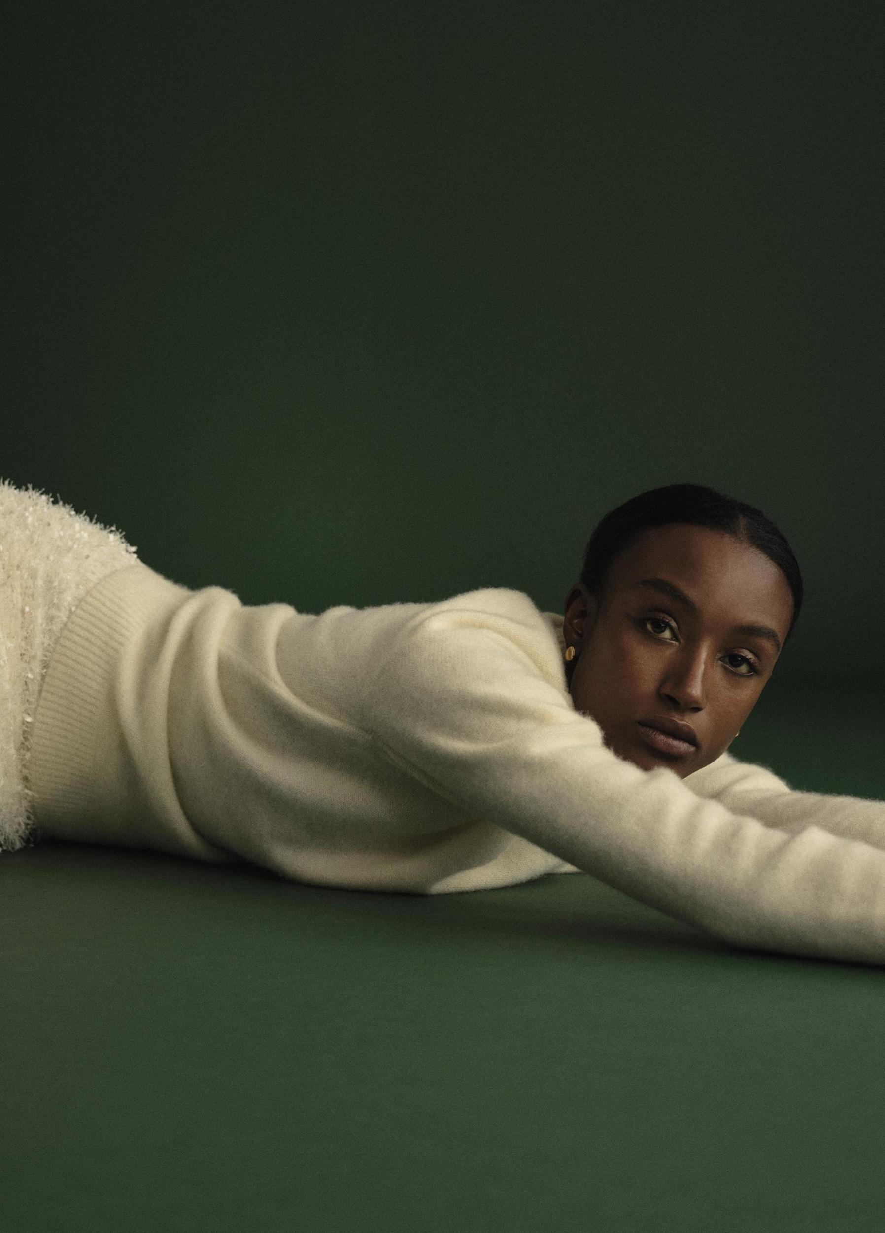 Plush Cashmere Crew Neck Sweater Product Image
