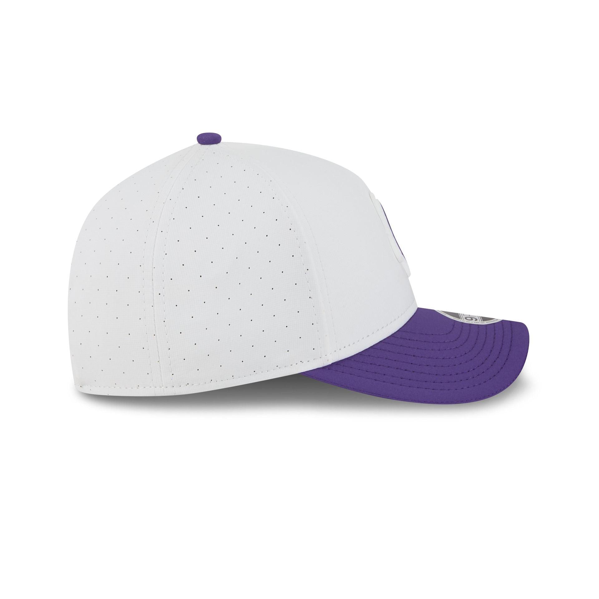 Minnesota Vikings 2025 Training 9FORTY M-Crown A-Frame Snapback Hat Male Product Image
