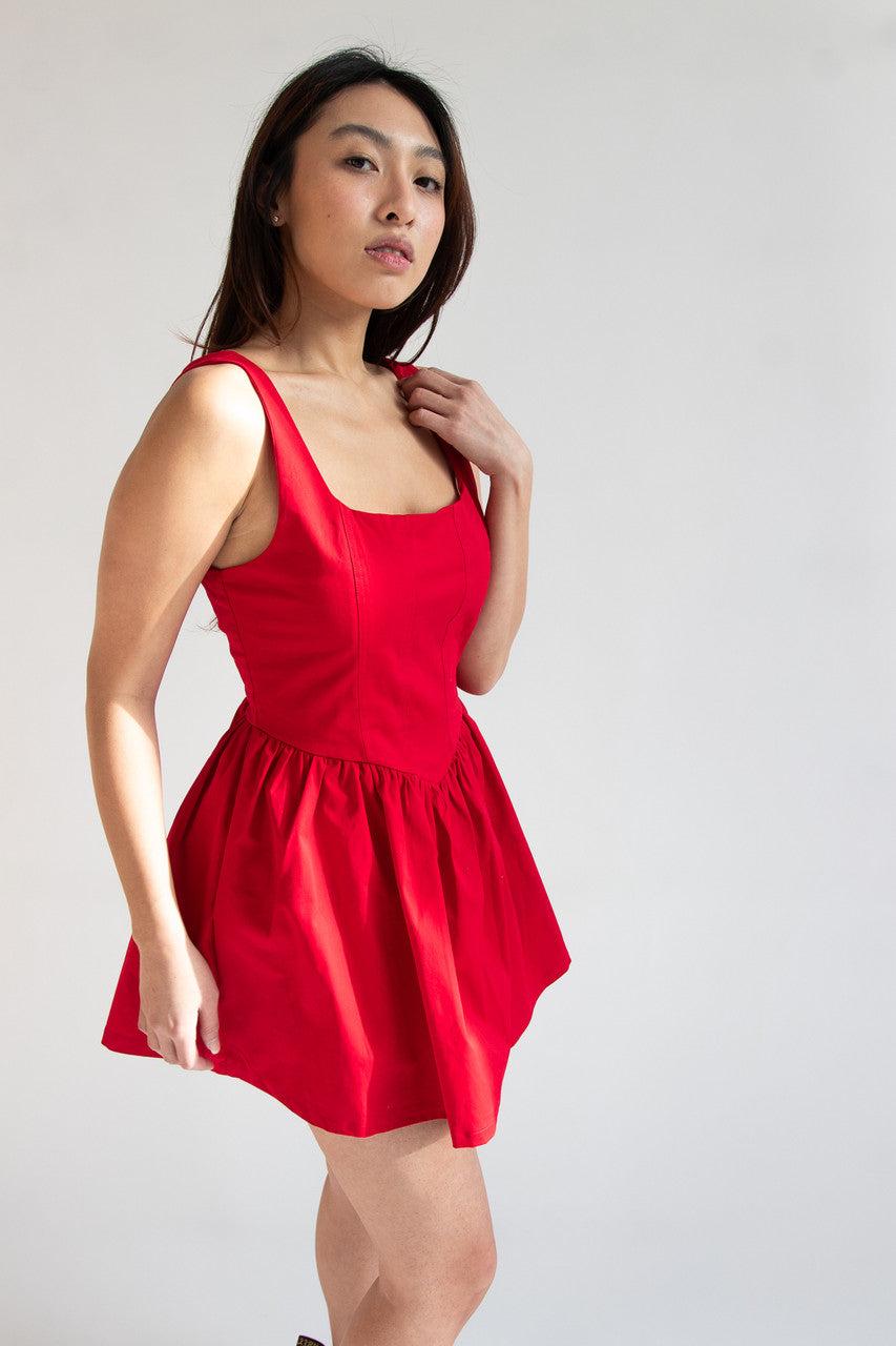 Fitted Bodice Mini Dress Product Image
