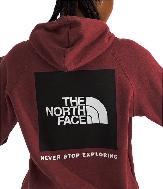 The North Face Graphic Box NSE Pullover Hoodie Product Image