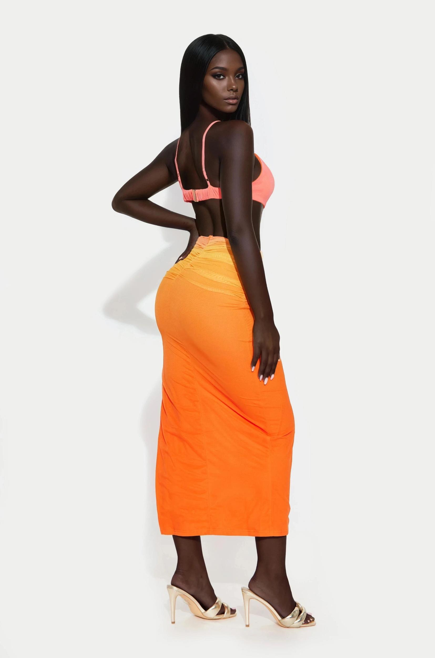 Oceana Ombre Mesh Maxi Dress - Orange/combo Female Product Image