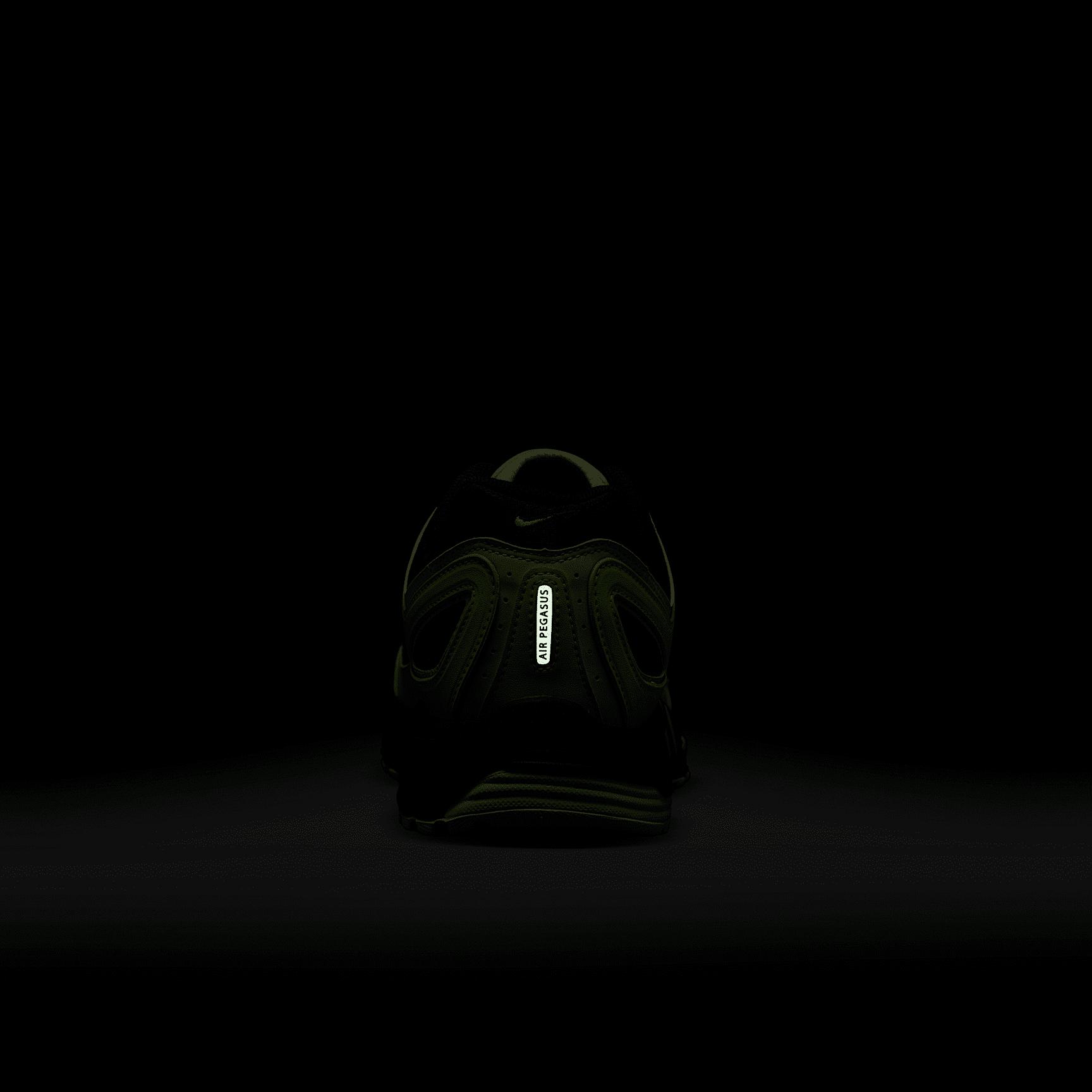 Nike Men's Air Pegasus 2005 Shoes Product Image