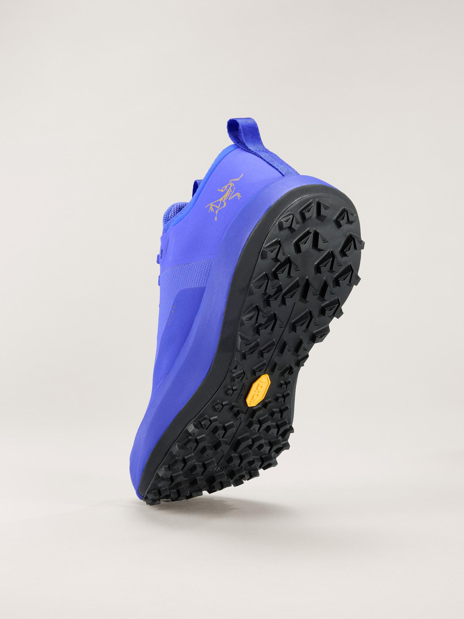 Sylan GTX Shoe Women's Product Image